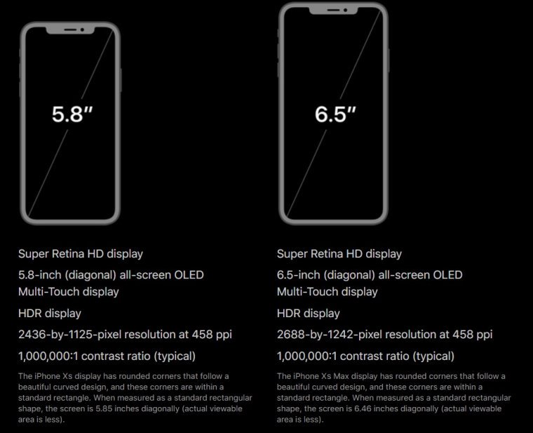 iPhone 11 display size