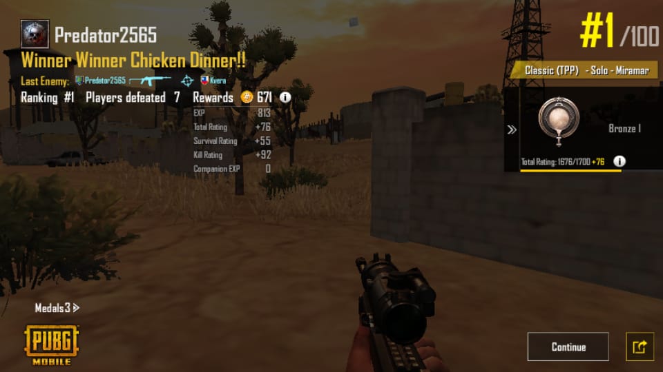 Winner-Winner Chicken Dinner in PUbG